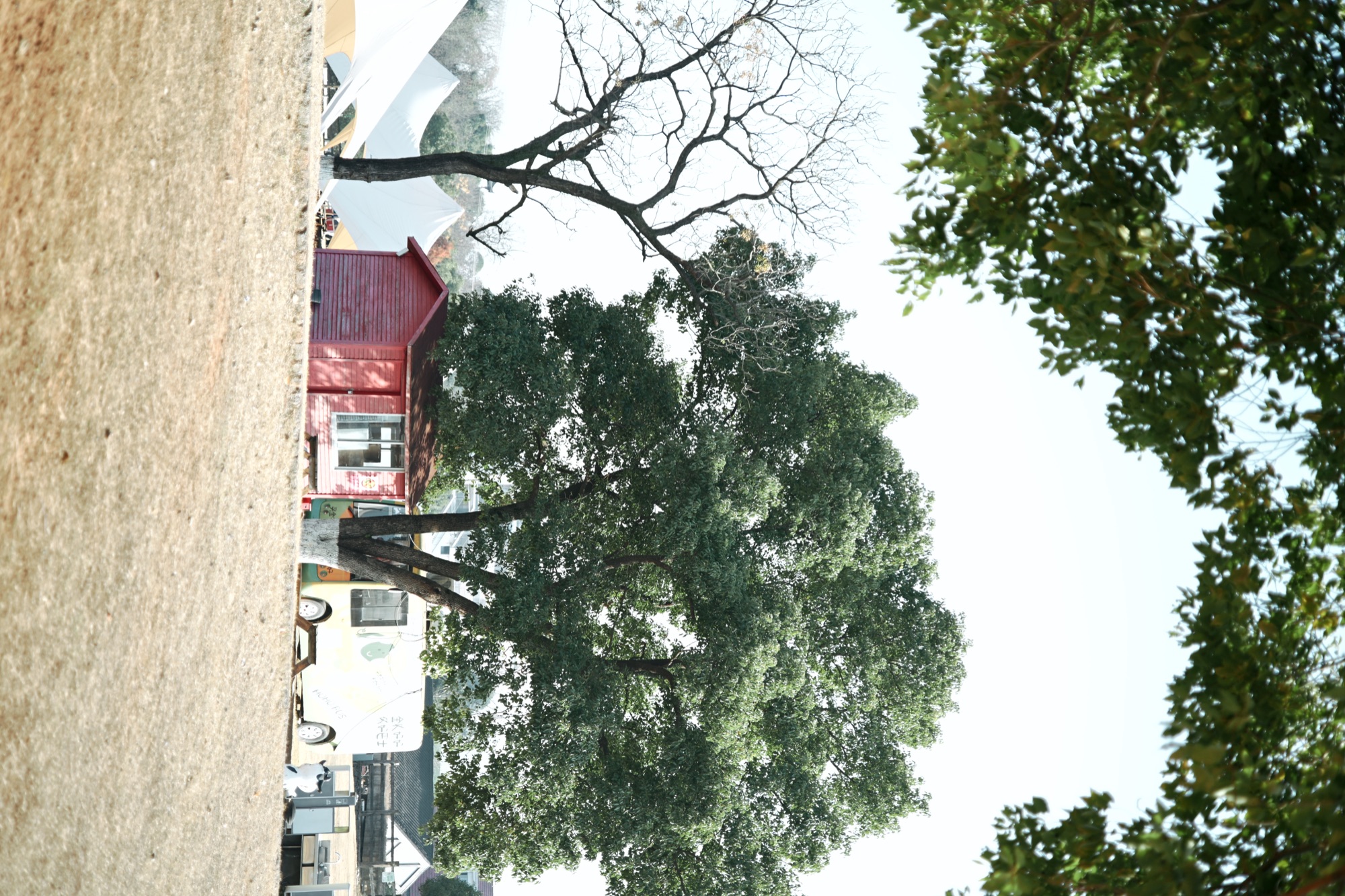 九峰牧场 · 国家3A级旅游景区